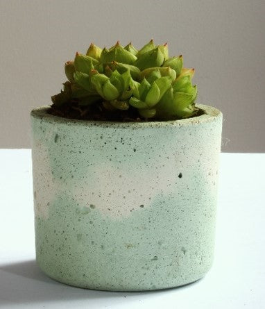 Materas Sander: Concreto | Al Solar Vivero
