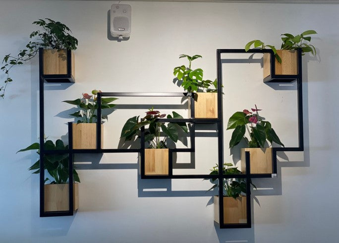 Jardín vertical | Al Solar Vivero