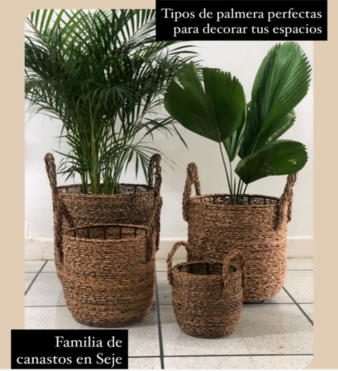 Canasto Matero Fibra Natural | Al Solar Vivero