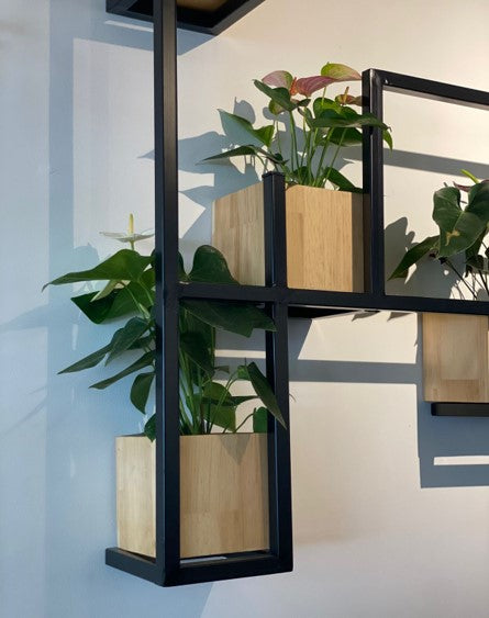 Jardín vertical | Al Solar Vivero