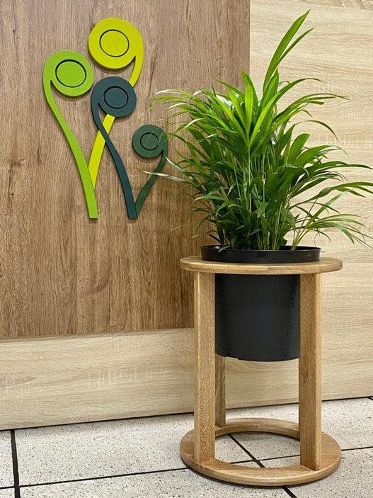 Palma Areca - Al Solar
