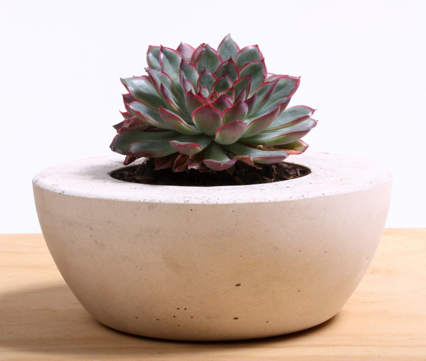 Repín: Bowl Concreto | Al Solar Vivero