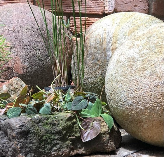 Esfera de piedra natural: Decoración para jardines | Al Solar Vivero