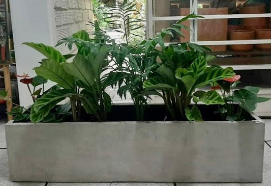 Jardinera Rectangular concreto - Al Solar