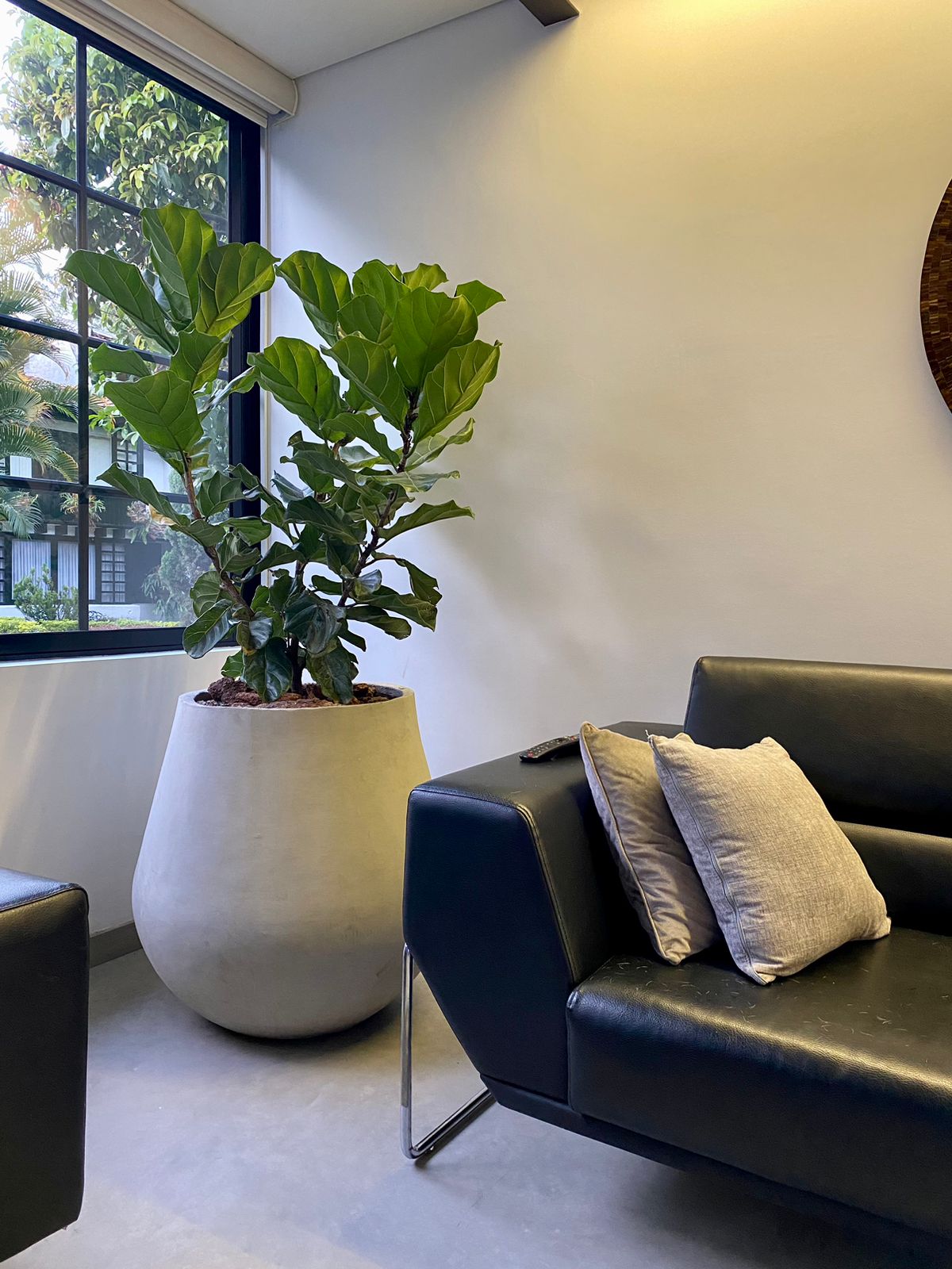 Set África Nº2 - Matera + Planta - Al Solar