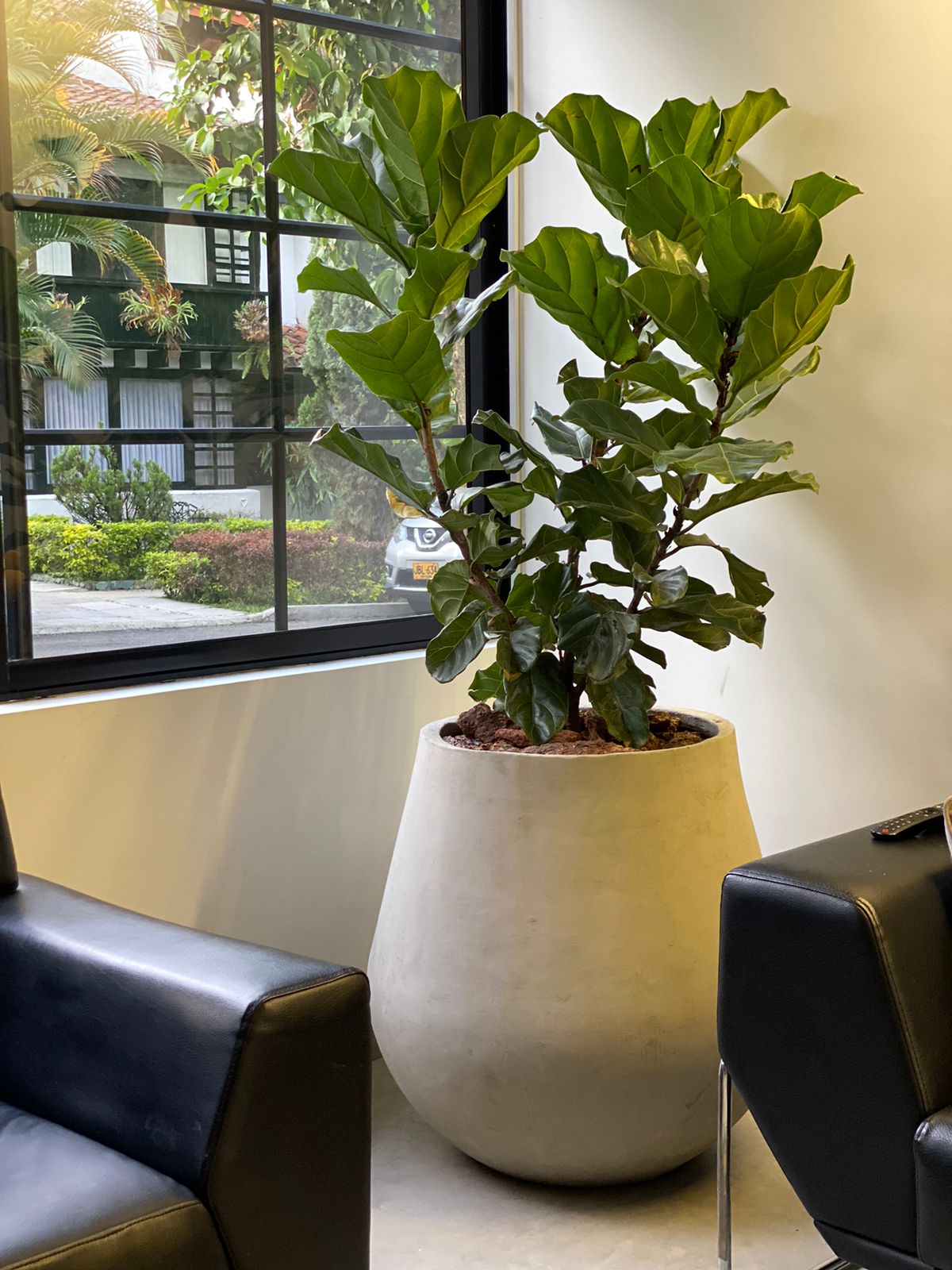 Set África Nº2 - Matera + Planta - Al Solar