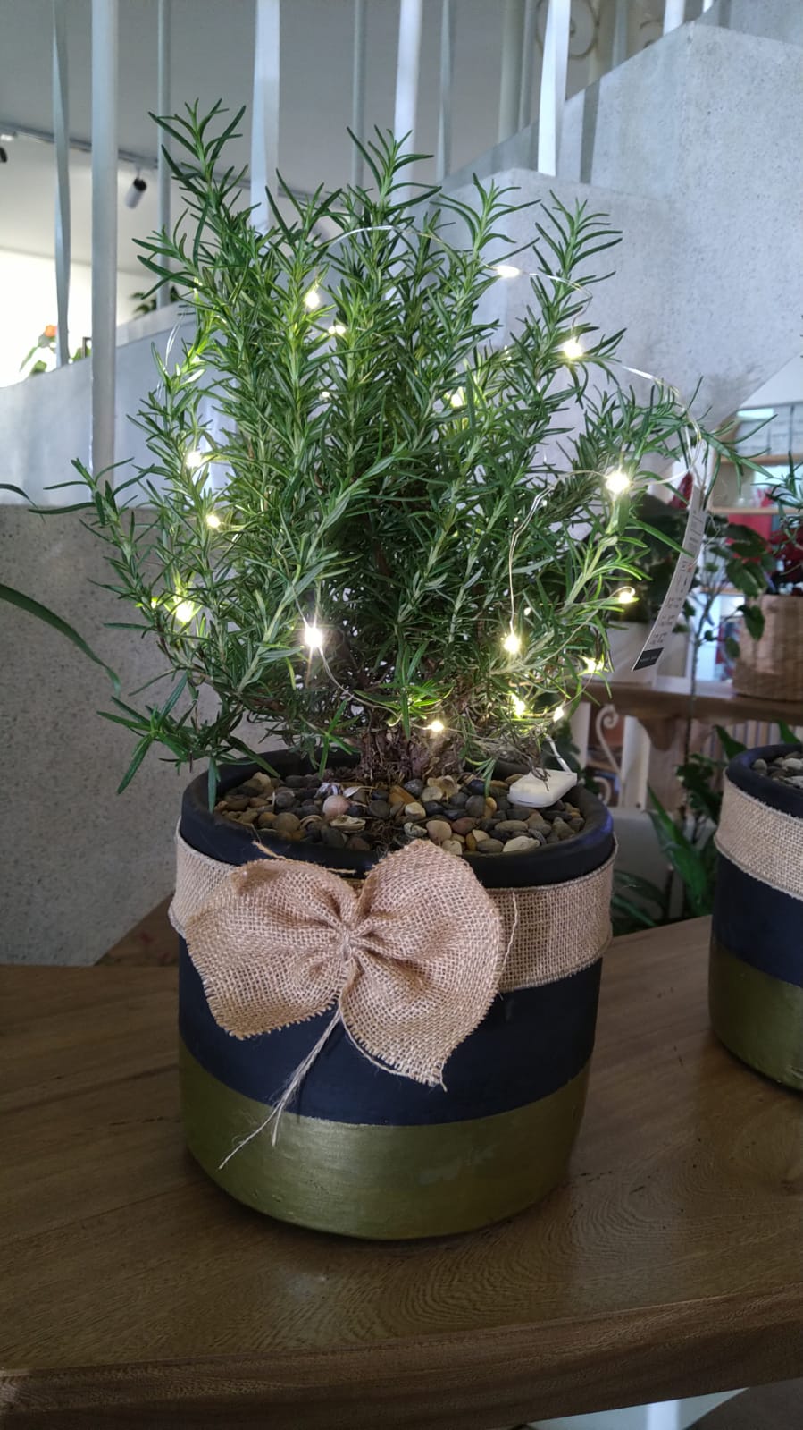 Romero como pino navideño - Al Solar