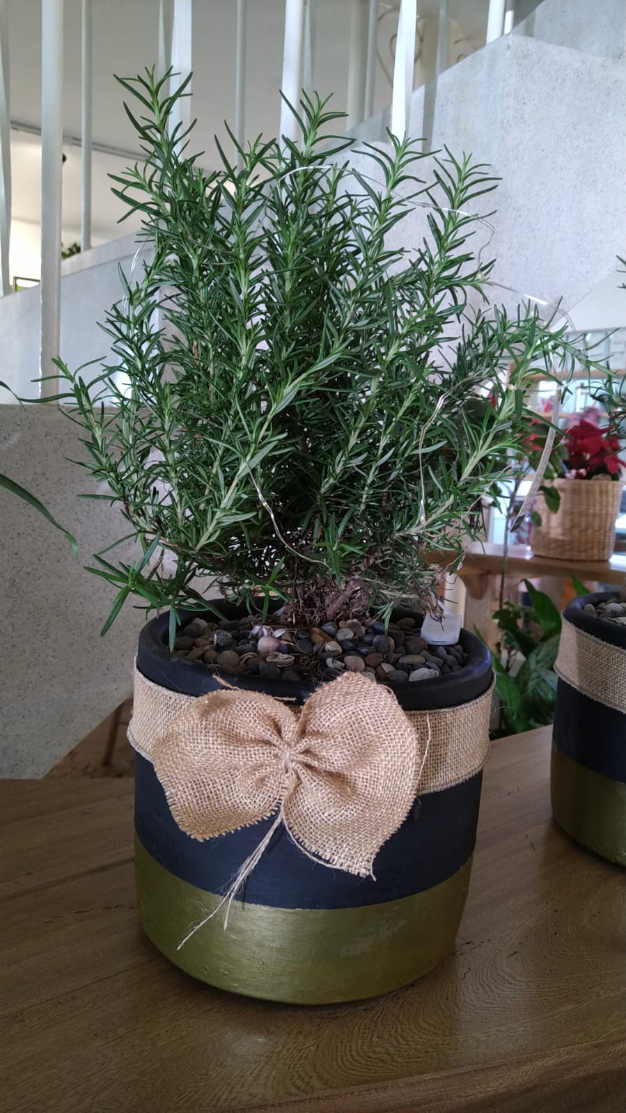 Romero como pino navideño - Al Solar