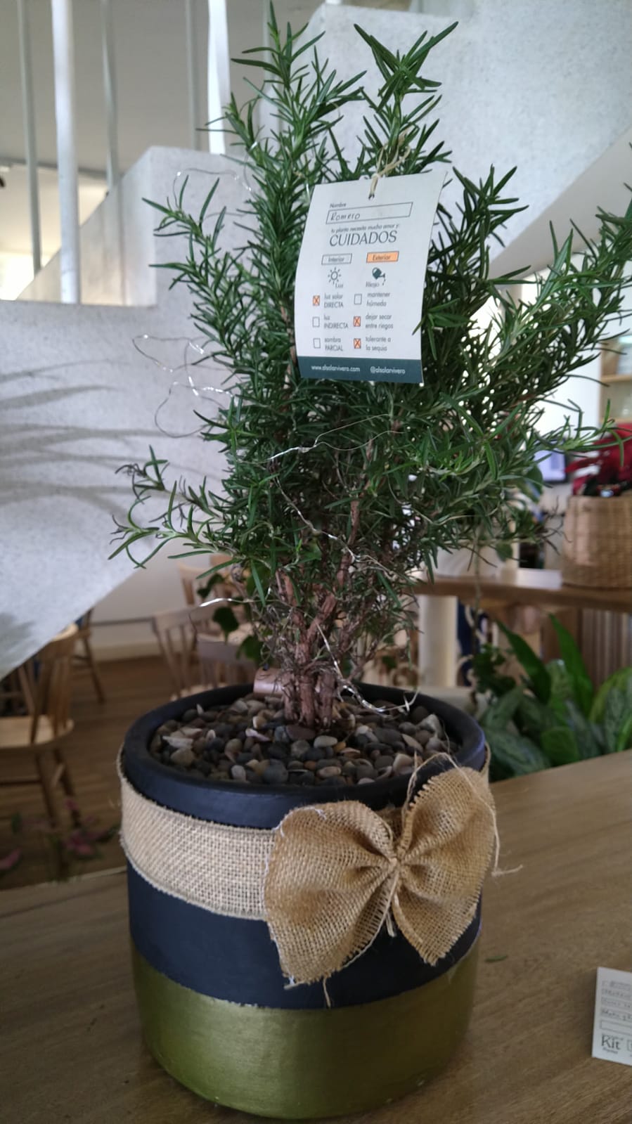 Romero como pino navideño - Al Solar