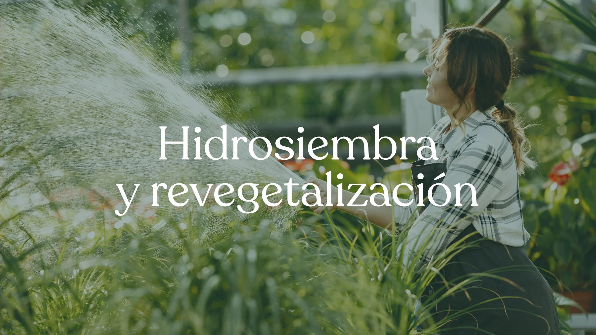 Hidrosiembra | Al Solar Vivero